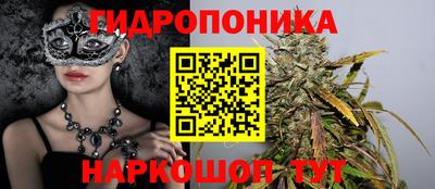 гашик Балахна