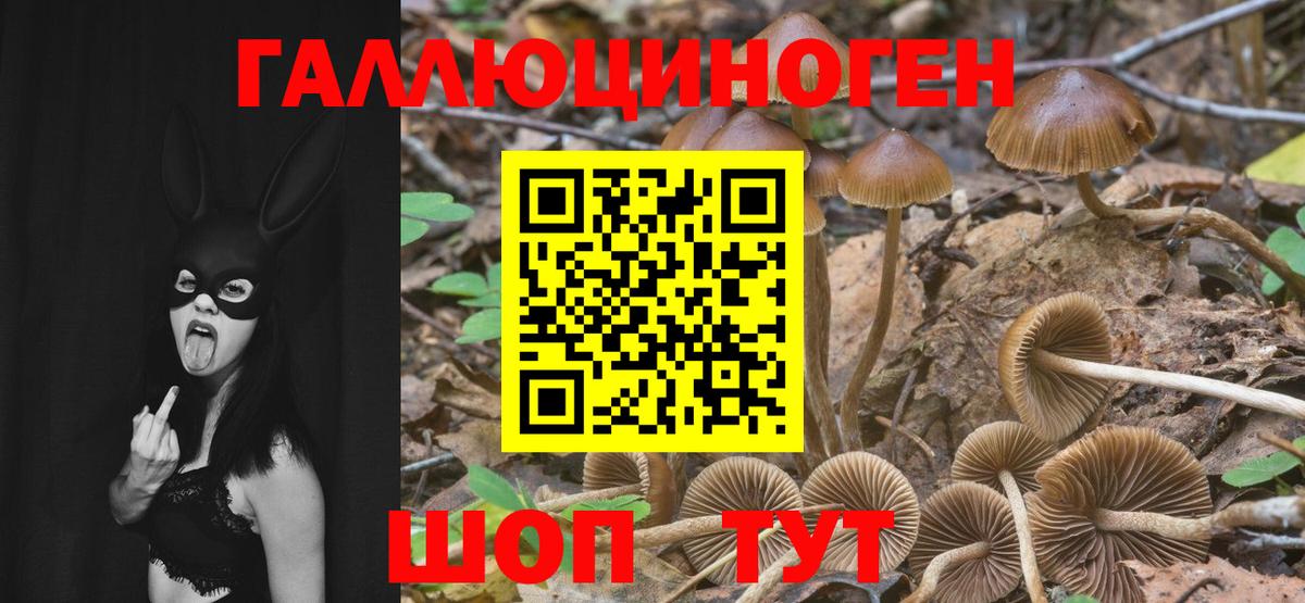 Галлюциногенные грибы мицелий Еманжелинск